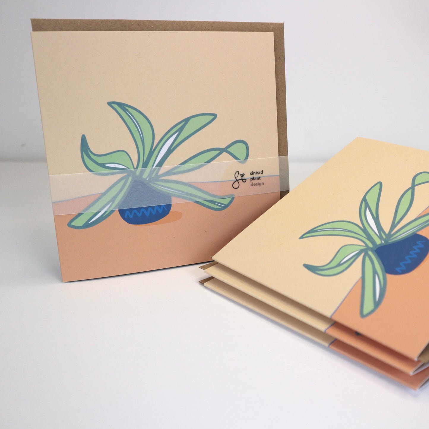 "Spiderling" - Greeting Card