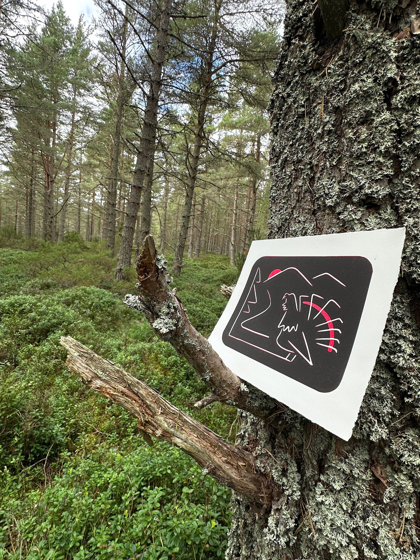 WiLD ALBA - 001 Capercaillie - Limited Edition Reduction Linocut