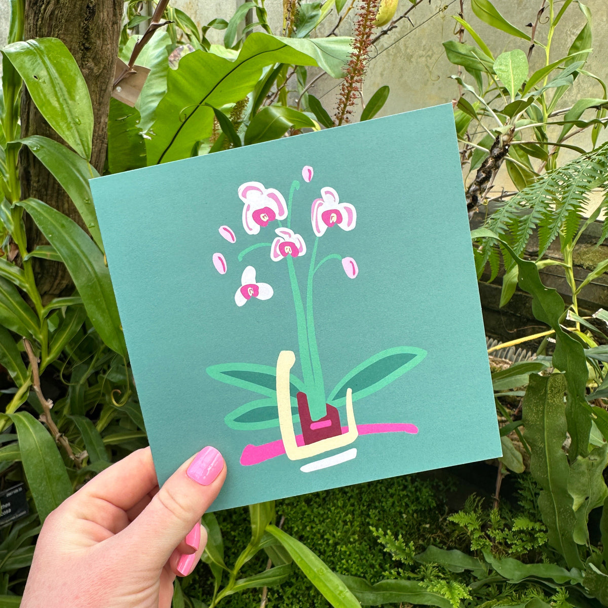 "Orchid" Greeting Card